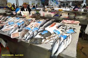 0517 Porto Matosinhos